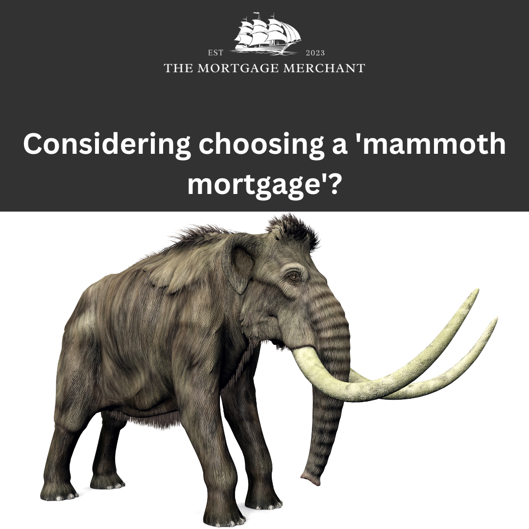 Considering choosing a ‘mammoth mortgage’?